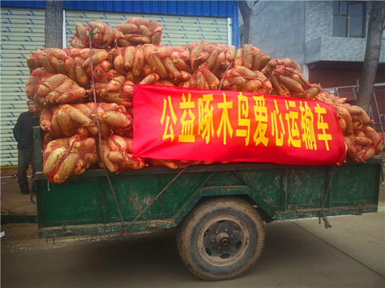 ＂愛(ài)心蘿卜＂來(lái)了！